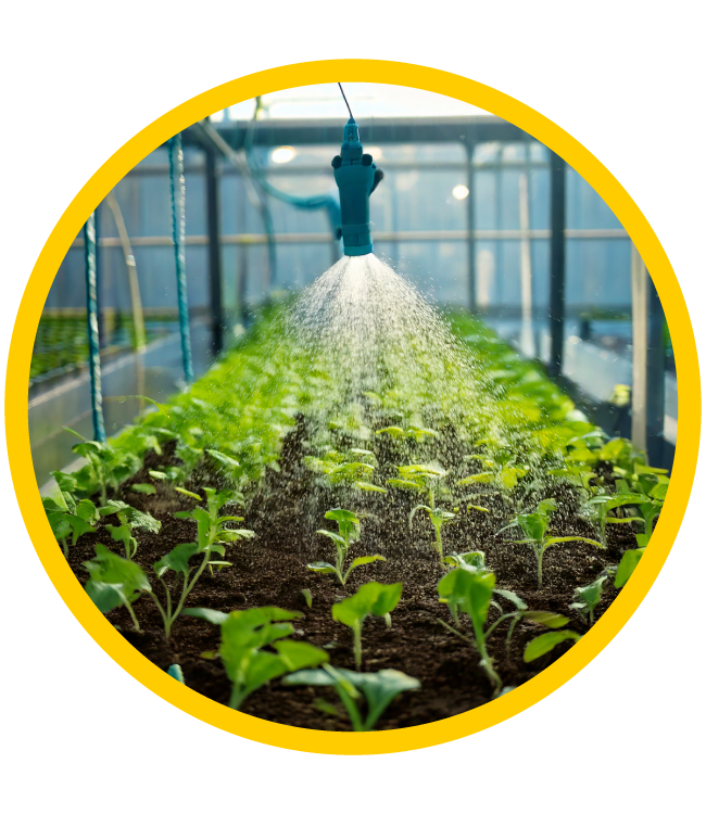 systeme et irrigation