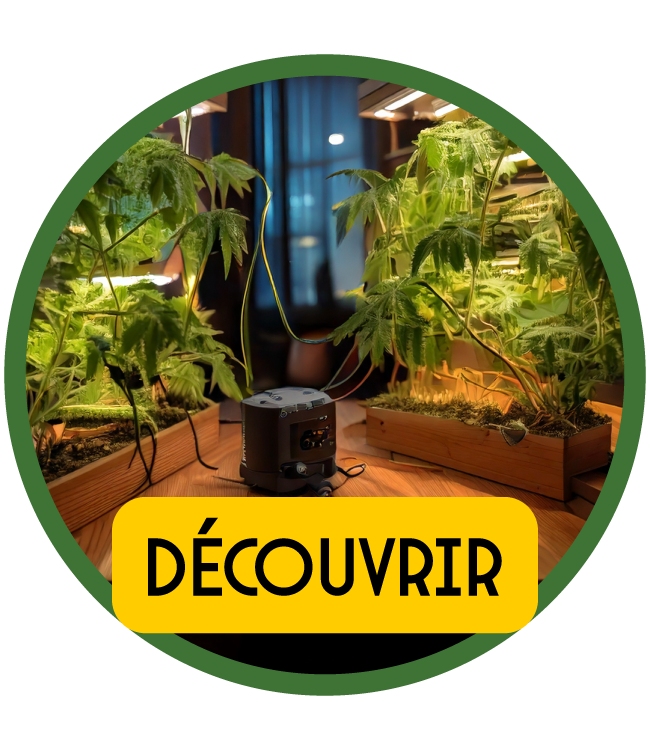 Domotique