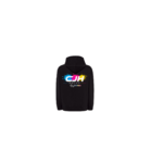 SWEAT CAPUCHE NOUVEAU LOGO