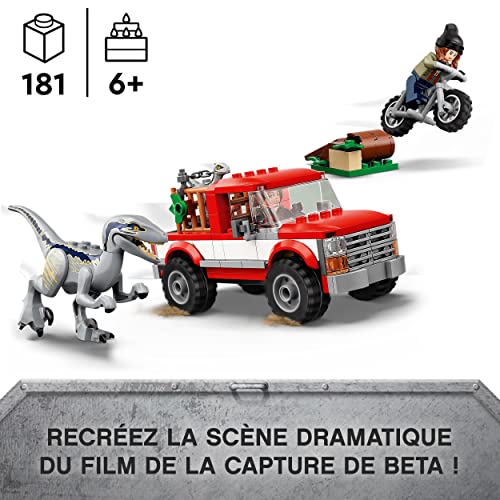 51je67blr6L