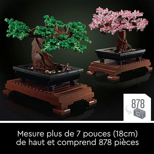 51zYClzkQ5L