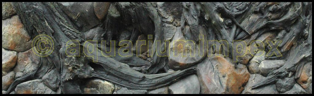 61dIm7iukaL._AC_SL1024_