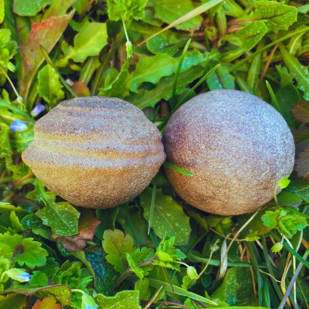 71WzgupluHL._AC_SL1080_