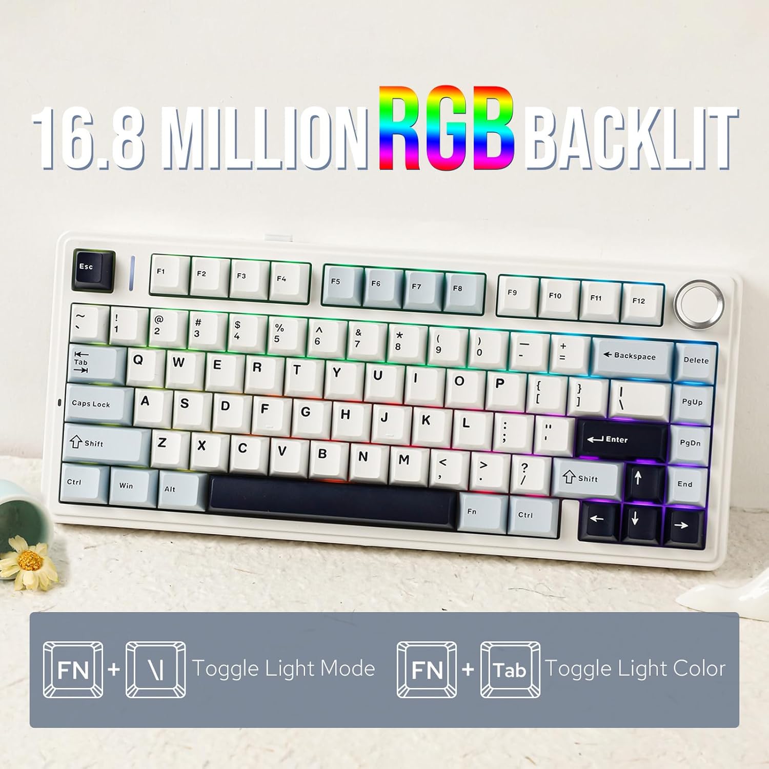 71qcOCrXccL._AC_SL1500_