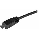 71m43wBNeQL._AC_SL1500_