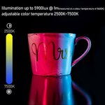 61fnDk6tjaL._AC_SL1500_