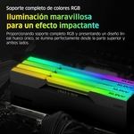 81O7qPx0YmL._AC_SL1500_