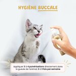 61HITVcLGCL._AC_SL1500_