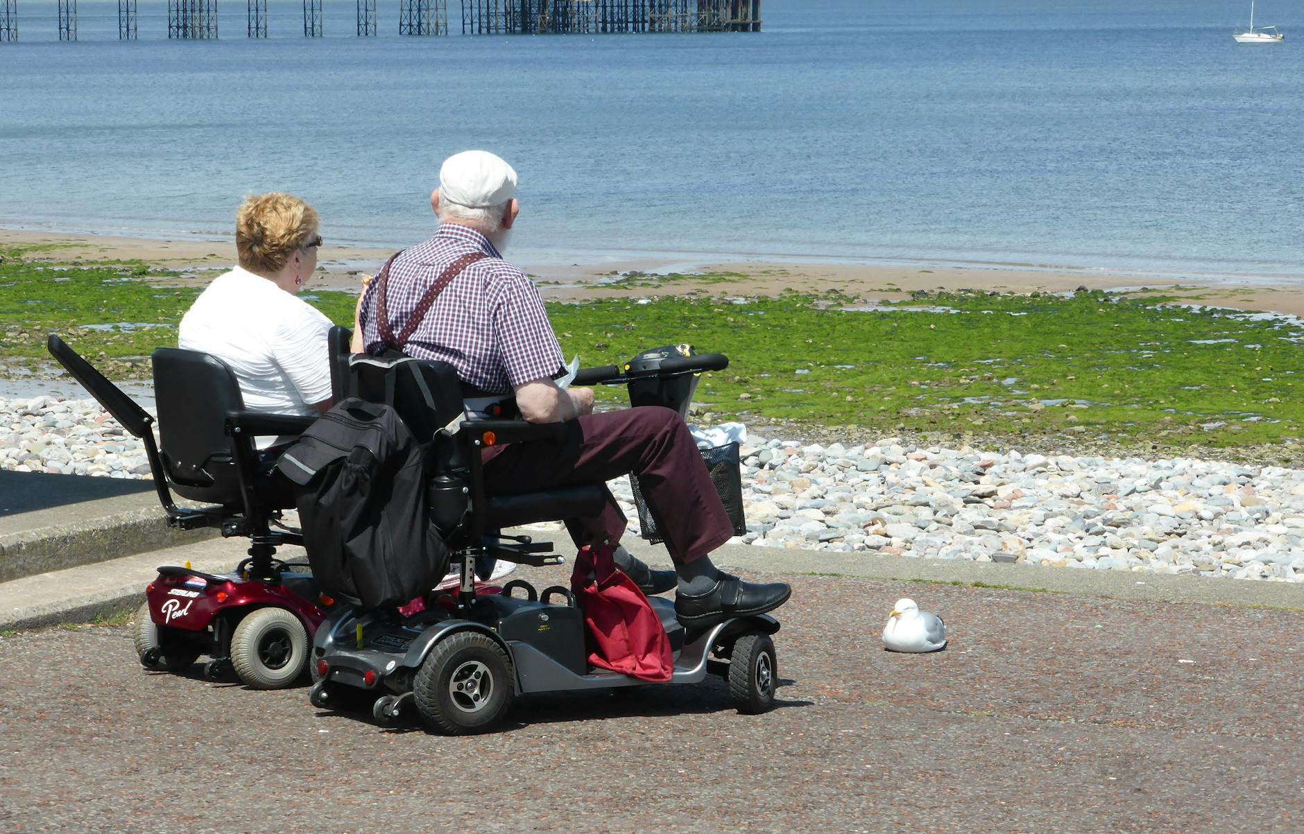 an elderly couple enjoys a seaside view while seated on mobility scooters emphasizing leisure and accessibility