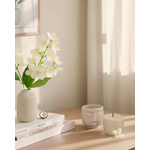 reveur-jasmin