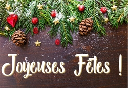 Joyeuses fêtes Novyparts 2018