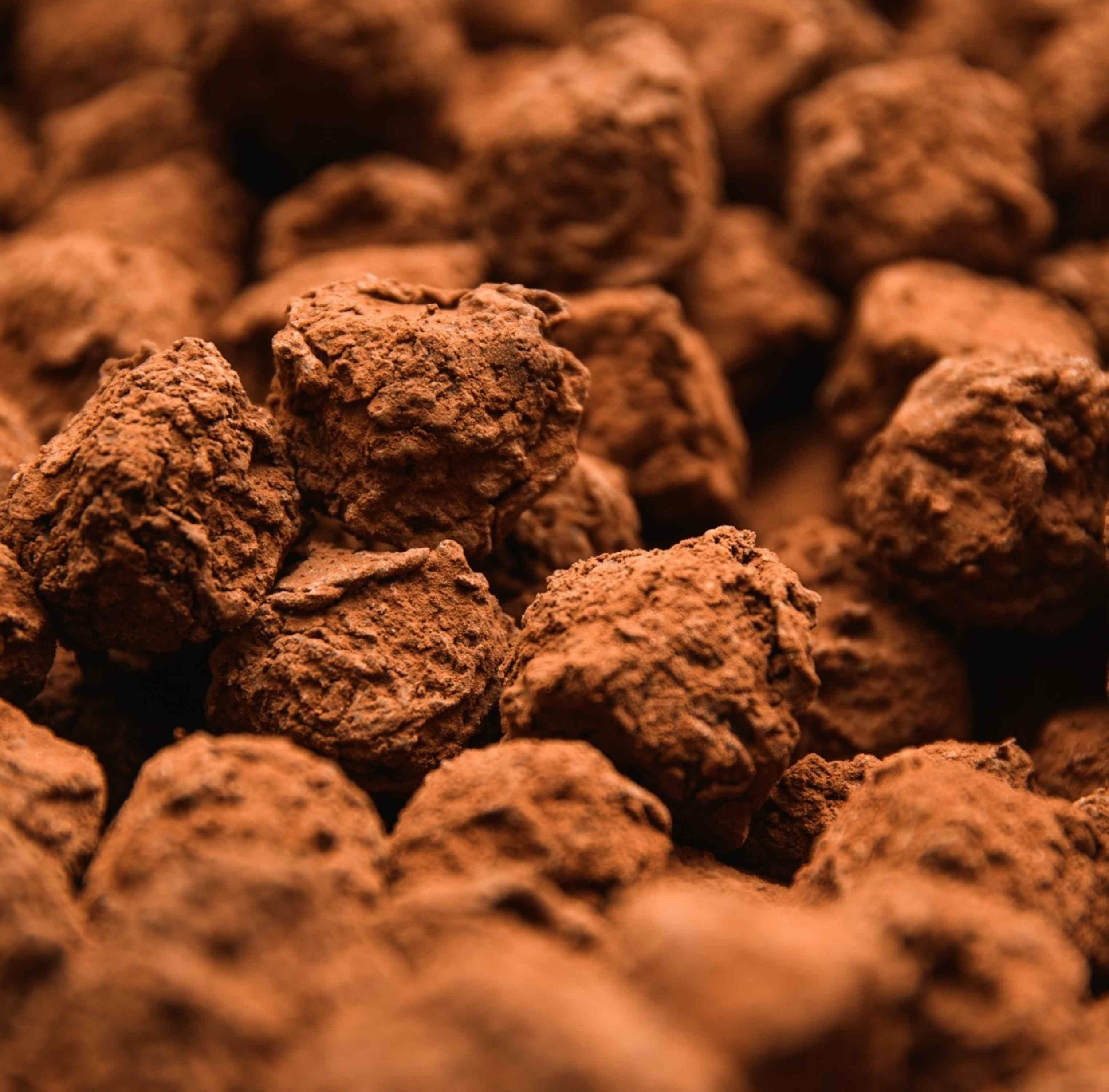 301 - TRUFFES GANACHE NOIR CREME ISIGNY ST MERE (1)