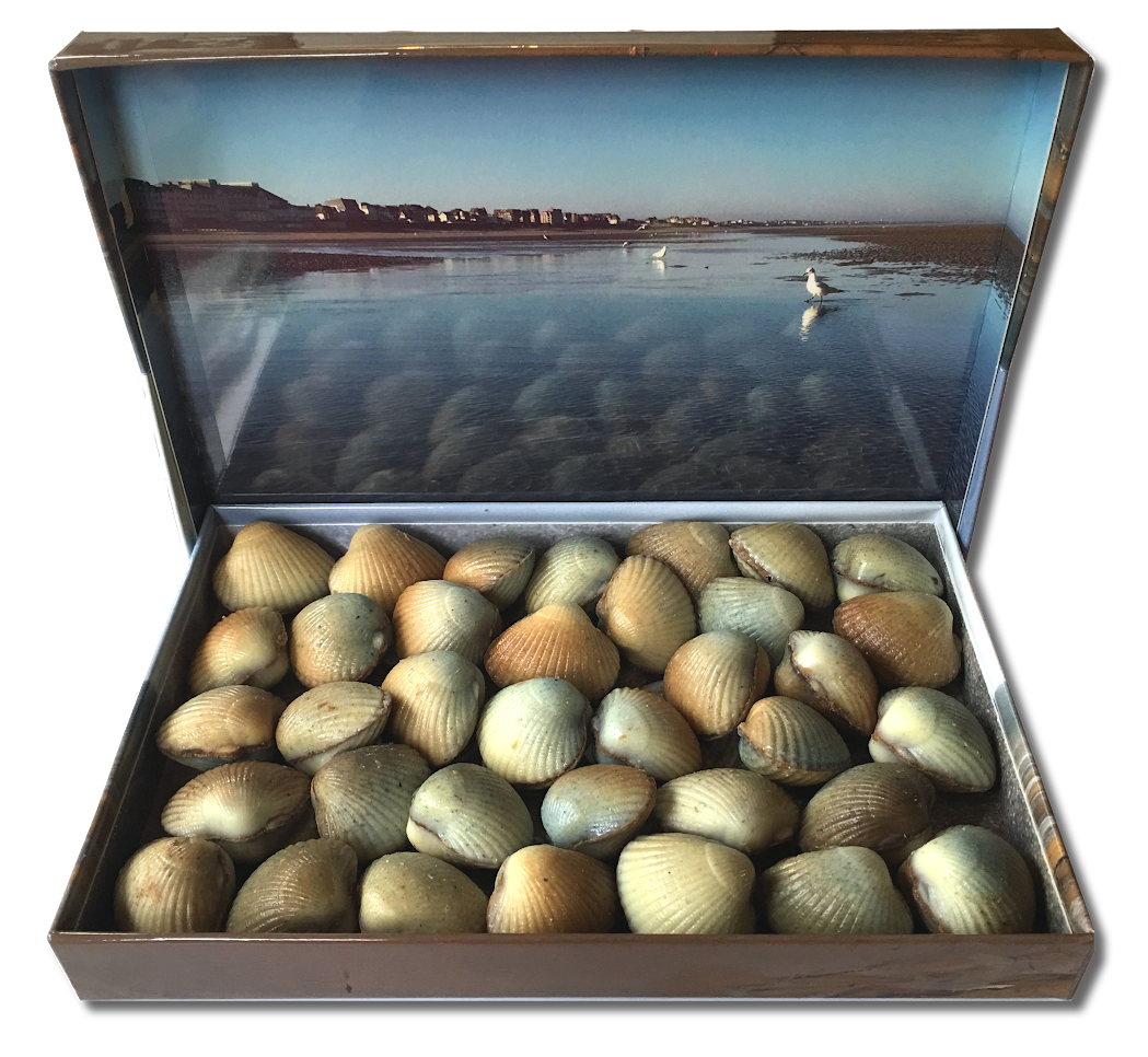 CAB B1 - Coffret Coques 370g (2)