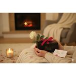 Ambiance - Plaisir doffrir coffret PRESTIGE 120cc