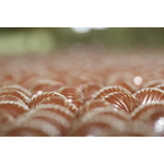 118L ESCARGOTS AU CHOCOLAT AU LAIT