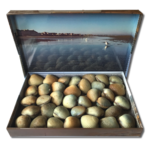 CAB B1 - Coffret Coques 370g (2)