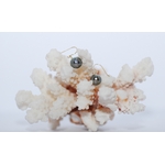 Boucles doreilles Petits Crochets perles de tahiti queue de paon (5)