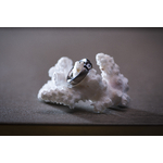 bague_septembre2020_2