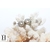 Boucles d'oreilles Boutons et perles de tahiti  (2)