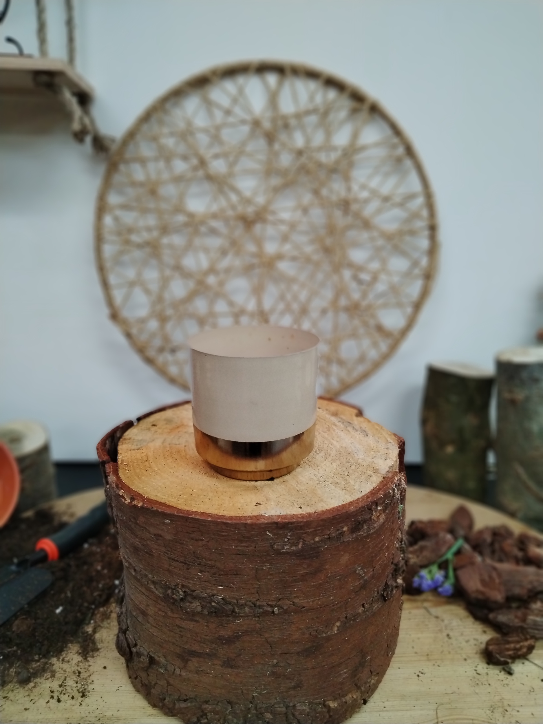 3606 (2)