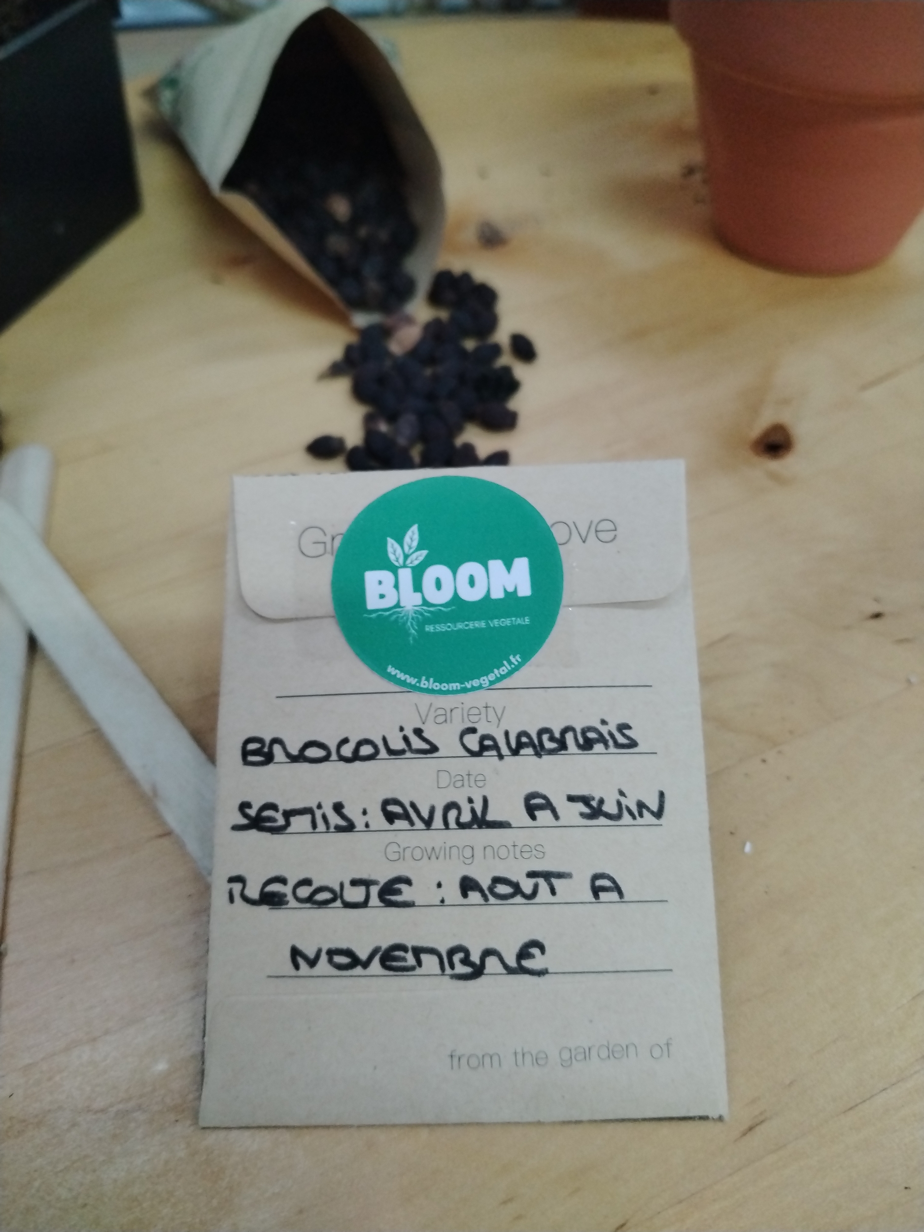 brocolis (2)