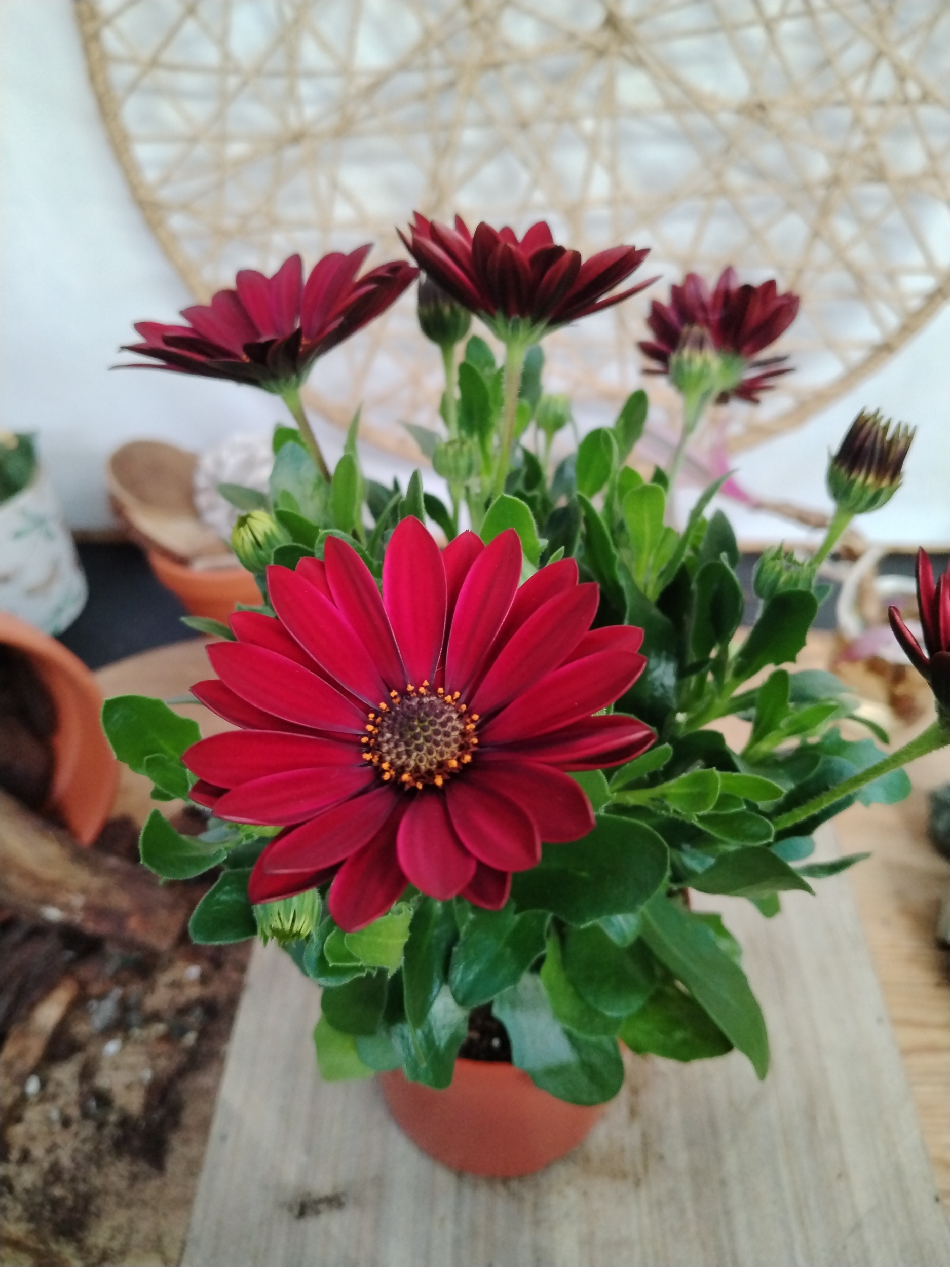 img-20260409-084512