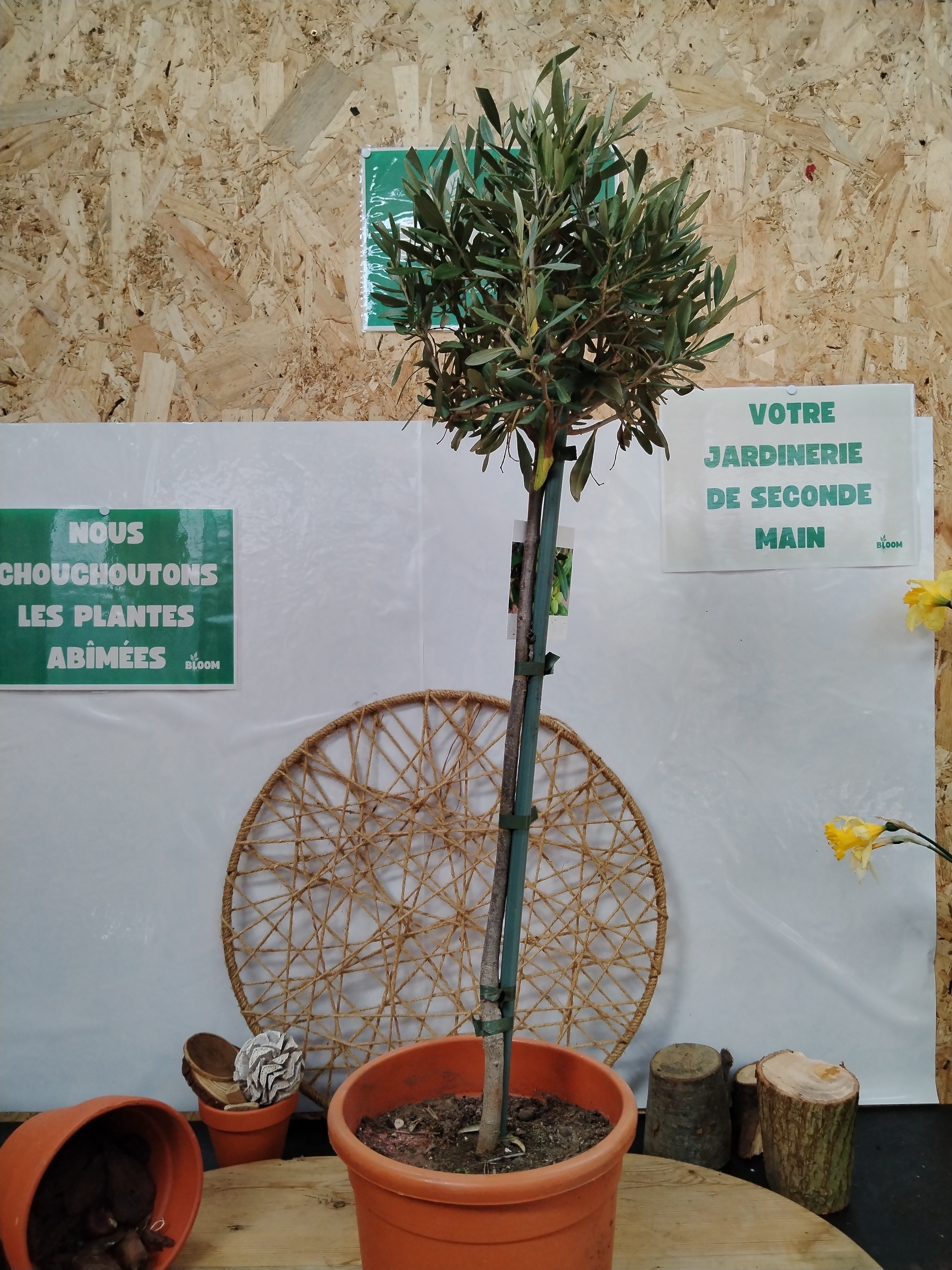 img-20260325-123850