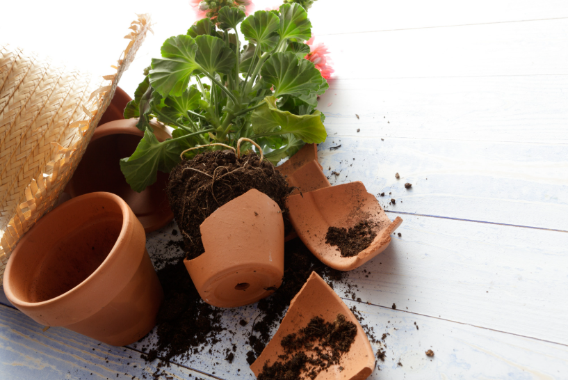 pots casses