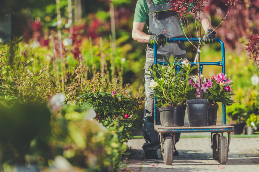 jardinage