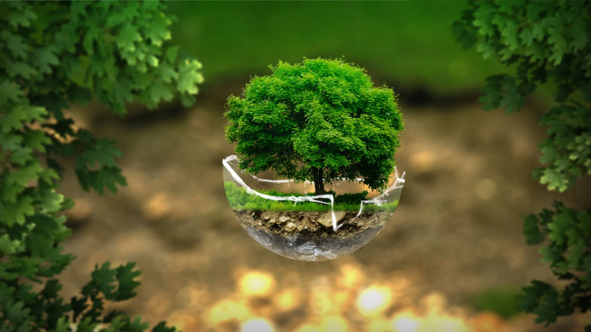floating tree