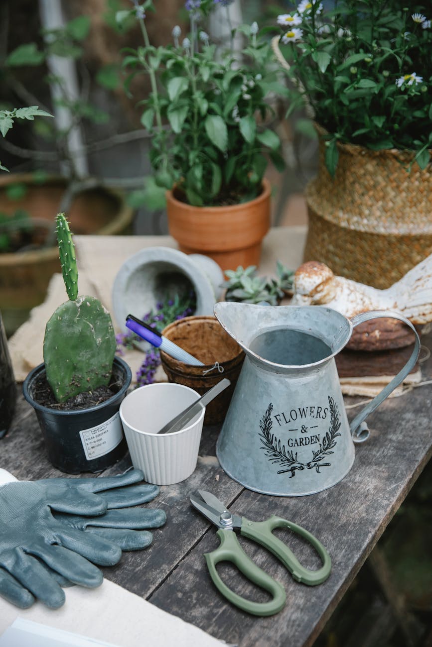 tasse en ceramique blanche sur table en bois gris
