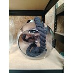 IMG_20260624_102619