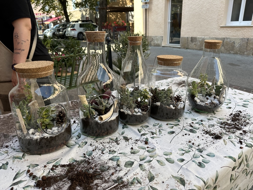 atelier-terrarium-lacabanedejuju