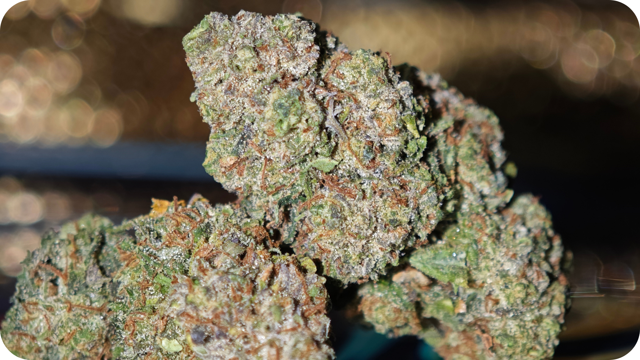 Red Velvet Runtz AAA+ THCA – Fleur Premium Made in USA