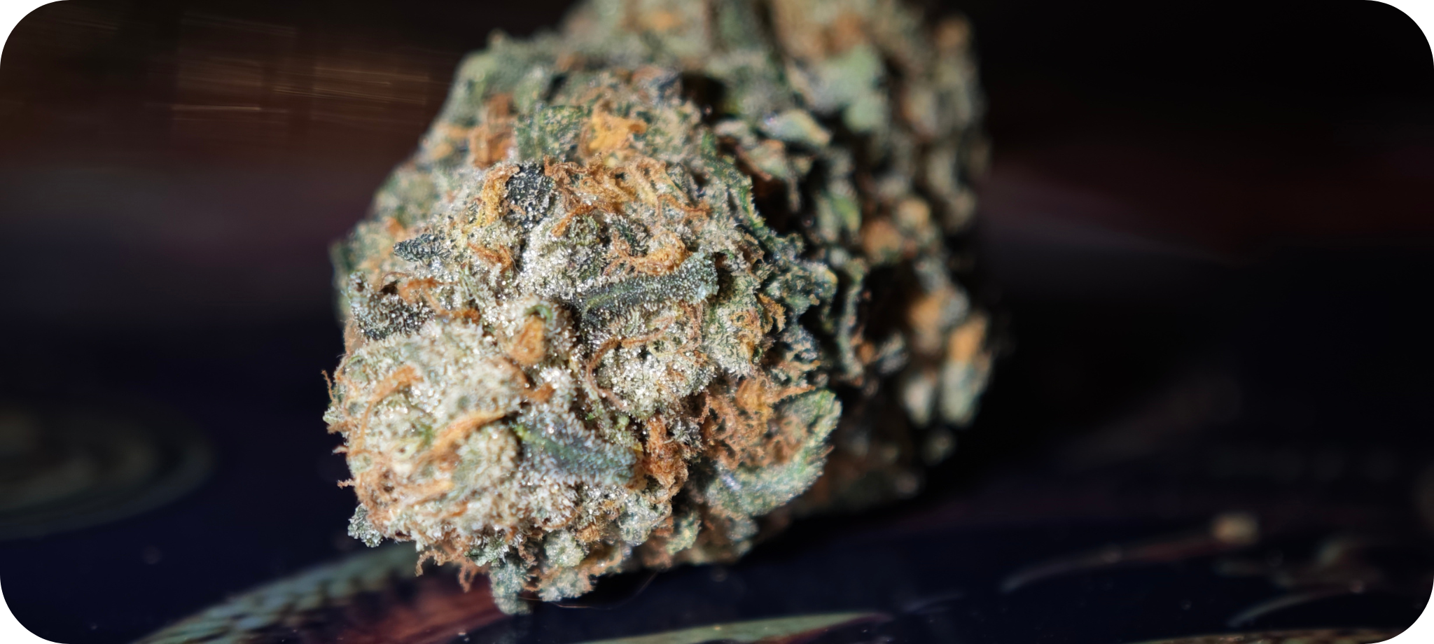 best seller thca achat thca , thca france , thca europe thca white runtz , thca pas cher