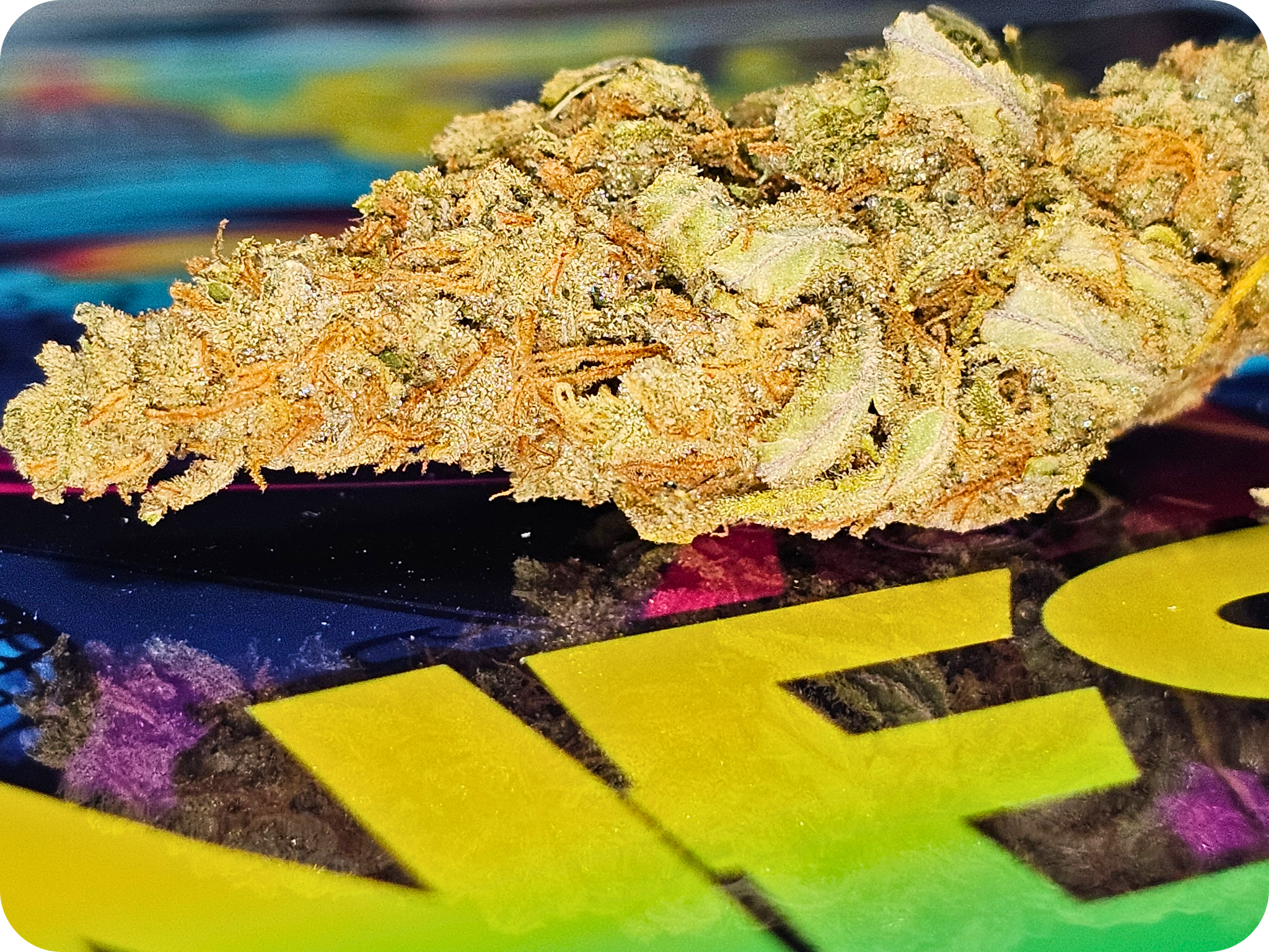 achat thca, avis thca , effet thca, shop thca , fleurs thca , resine thca , hash thca, vape thca, amnésia thca, puff thca , leader thca, amnésia thca, leaf gold thca