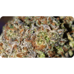 Red Velvet Runtz AAA+ THCA – Fleur Premium Made in USA
