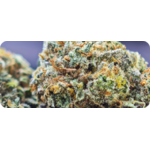 leaf gold ACHAT THCA , THCA FRANCE , THCA EUROPE , THCA CALIFORNIE , THCA FLOWER , THCA FLEUR , THCA LEGAL