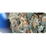 achat thca , thca france , thca europe thca white runtz , thca pas cher leaf gold thca
