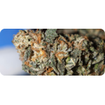 achat thca , thca france , thca europe thca white runtz , thca pas cher
