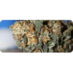 thca pas cher , achat thca , thca france , thca europe thca white runtz , thca pas cher
