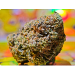 LEMON CHERRY GELATO THCA