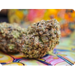 lemon cherry gelato thca