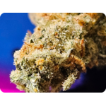 achat thca, avis thca , effet thca, shop thca , fleurs thca , resine thca , hash thca, vape thca, thca, puff thca , leader thca, thca, leaf gold thca