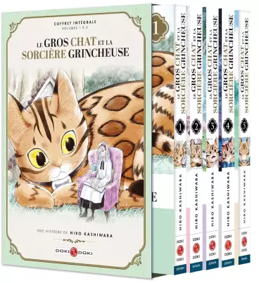 Le_Gros_Chat_et_la_Sorci_re_grincheuse_-_coffret-_Doki_Doki_large