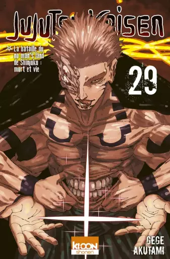 Jujutsu_Kaisen_T29_-_Ki-oon_large