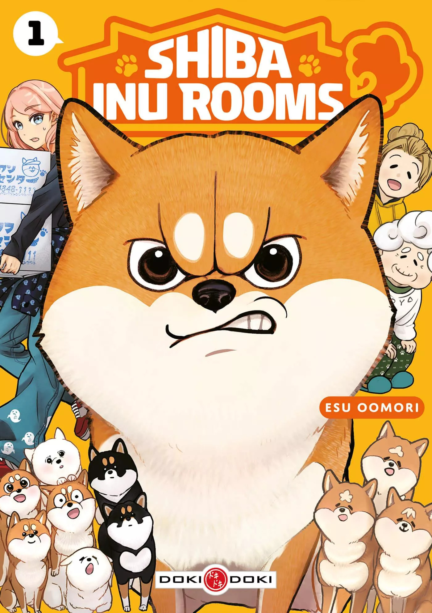 shiba-inu-rooms-doki-doki-1