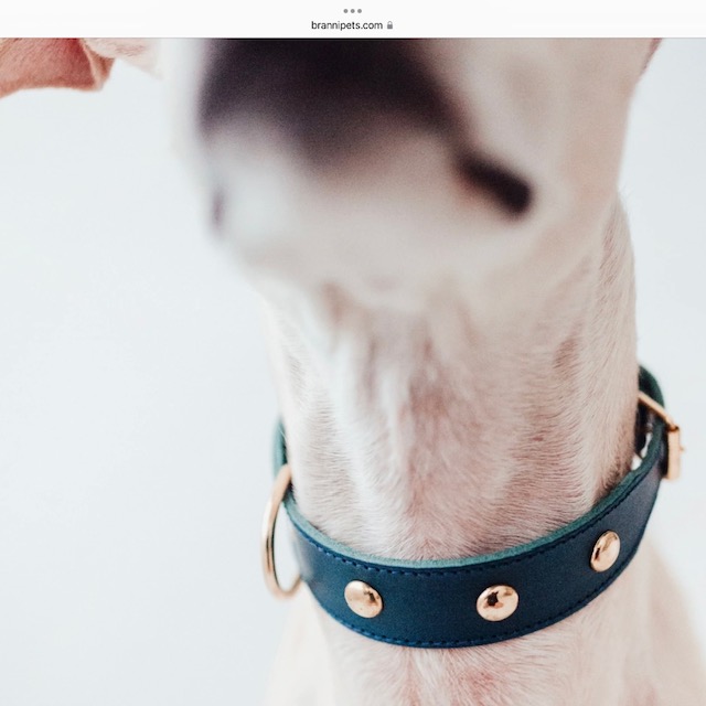 Collier brannibleuclous3