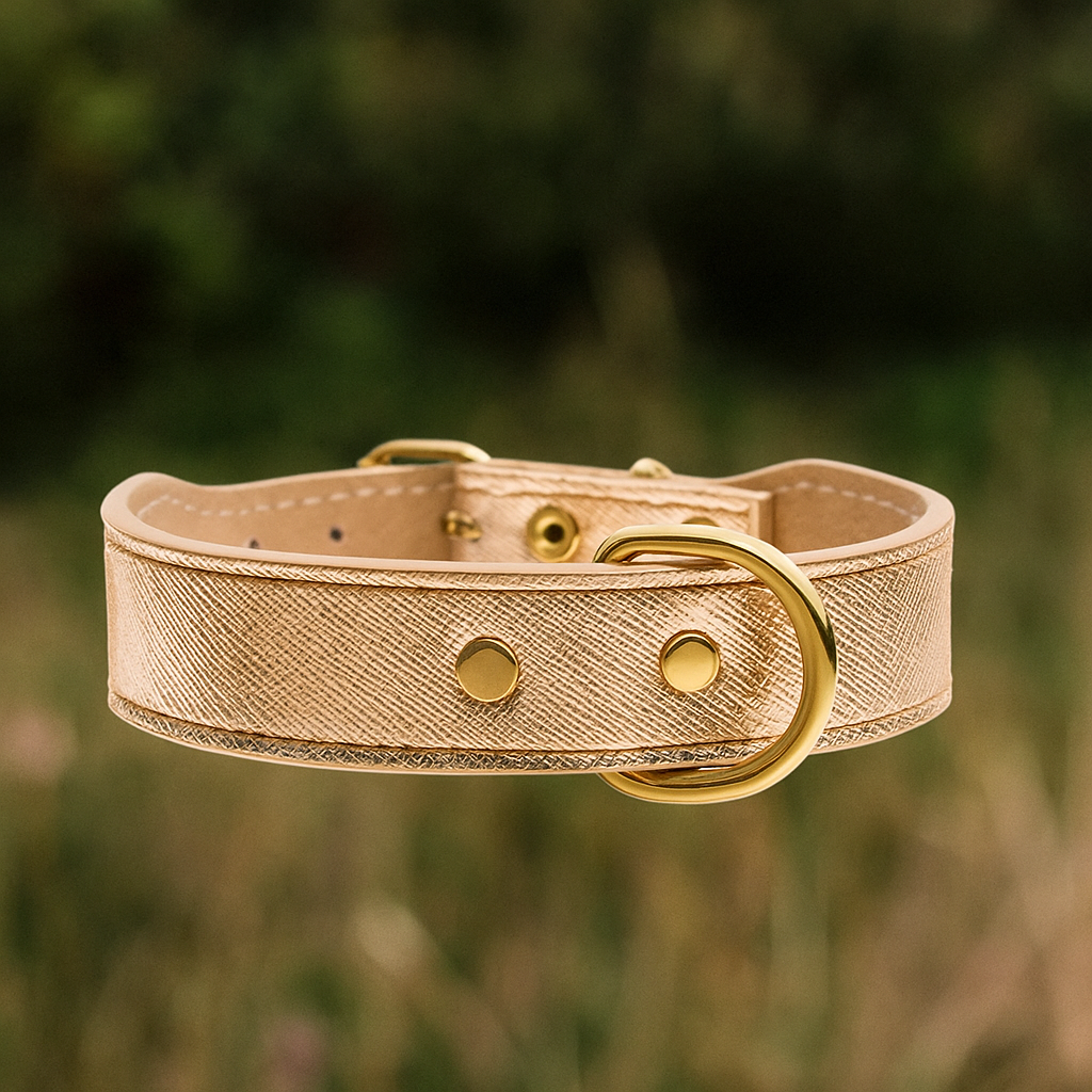 Collier brannidoré couverture