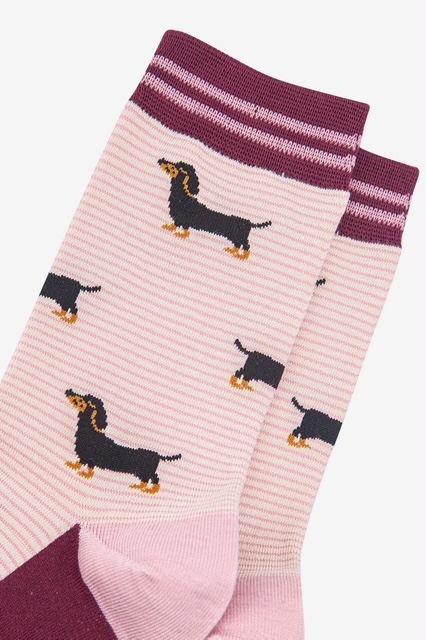 chaussettes femme bambou teckels 5-3